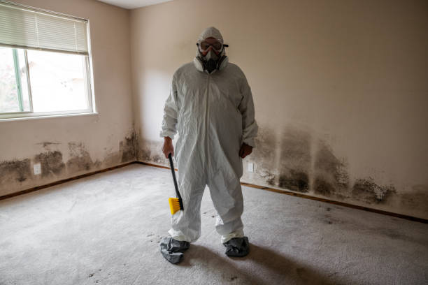 Best Bathroom Mold Remediation in Mount Vernon, AL